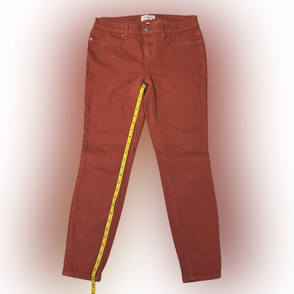 🌸 Lila Ryan Colorful Canyon Rose Skinny Jeans – Women’s Size 28 🌸 - Picture 8 of 8